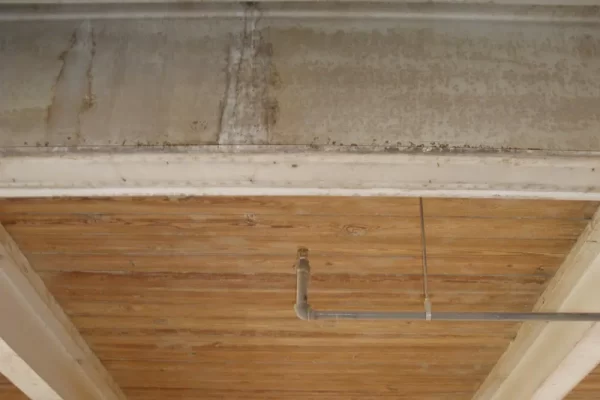 After Dry Ice Blasting for Restoration 4