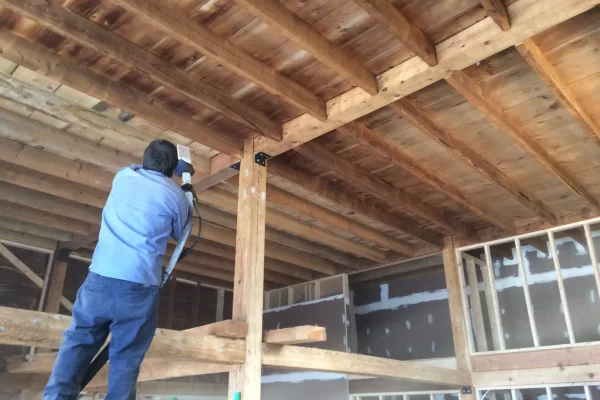 After Dry Ice Blasting for Restoration