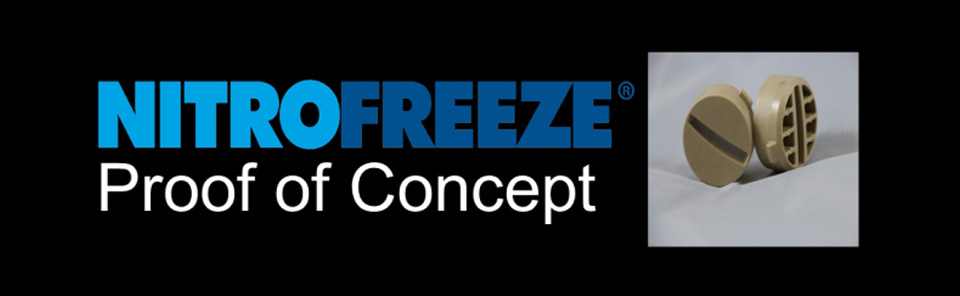 Cryogenic Deflashing for PEEK Plastic